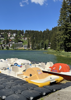 Mehrere Pedalos befinden sich im Wasser am Steg der Pedalovermietung in Arosa.